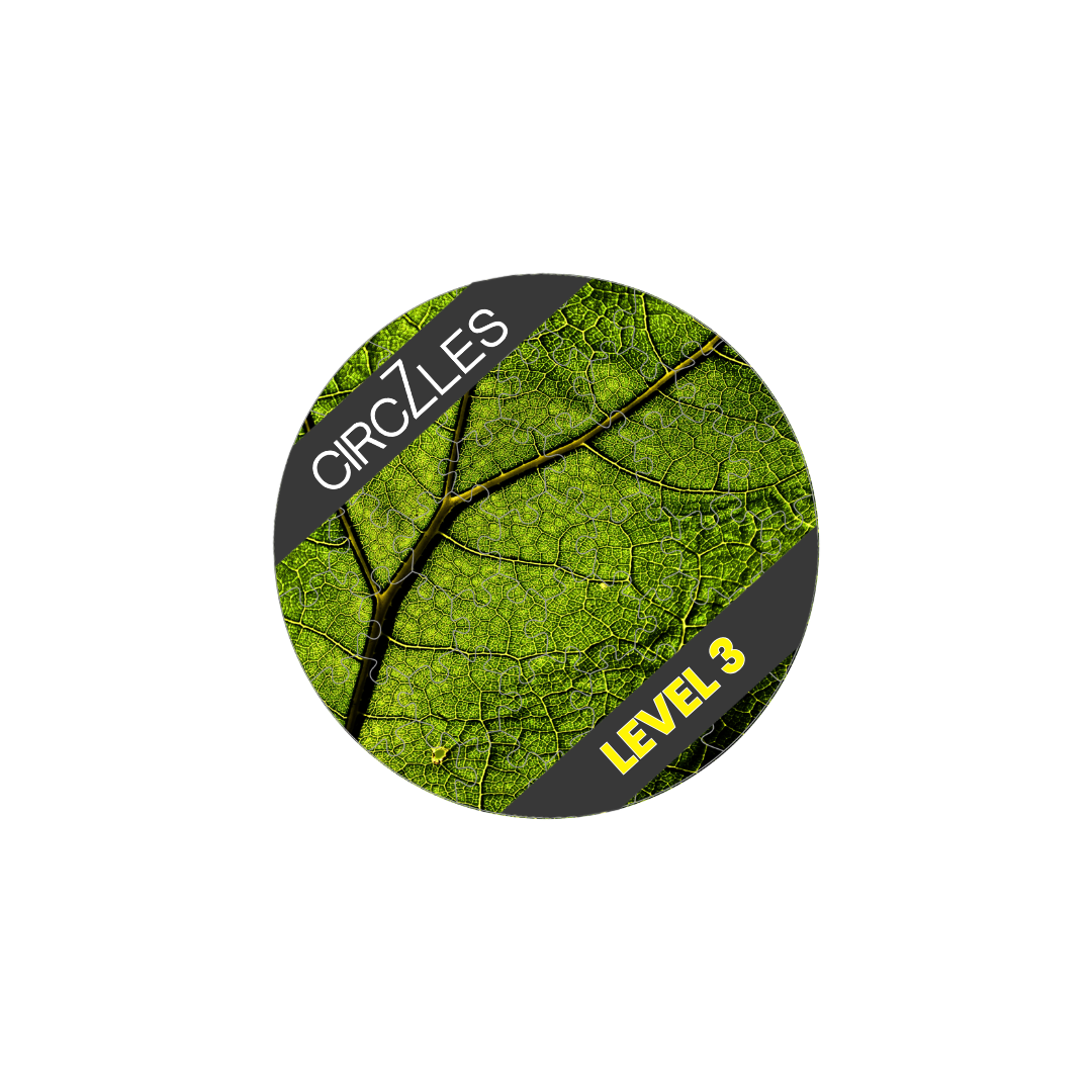 Synthesis Level 3 - Mind Relaxing Games | CogZart Mind Gym