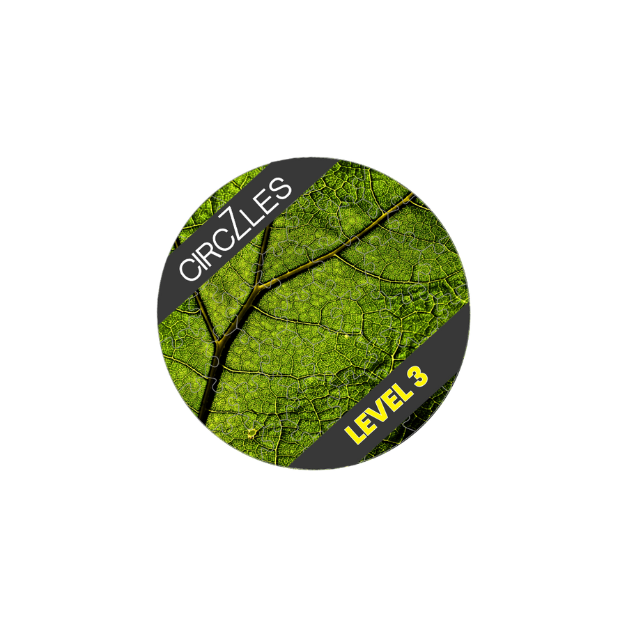 Synthesis Level 3 - Mind Relaxing Games | CogZart Mind Gym