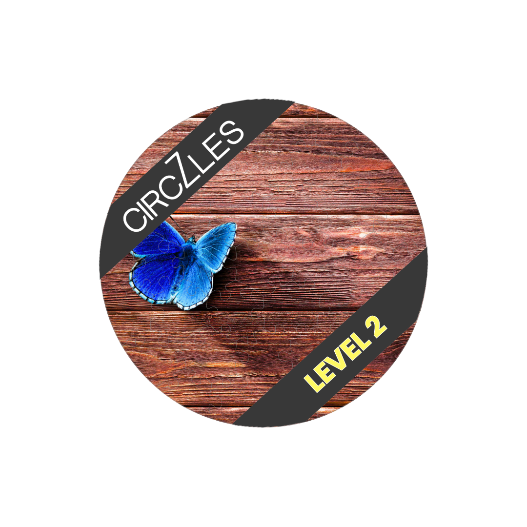 Focus-Boosting Wooden Puzzles | Metamorphosis