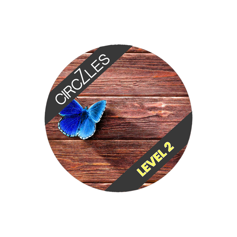Focus-Boosting Wooden Puzzles | Metamorphosis