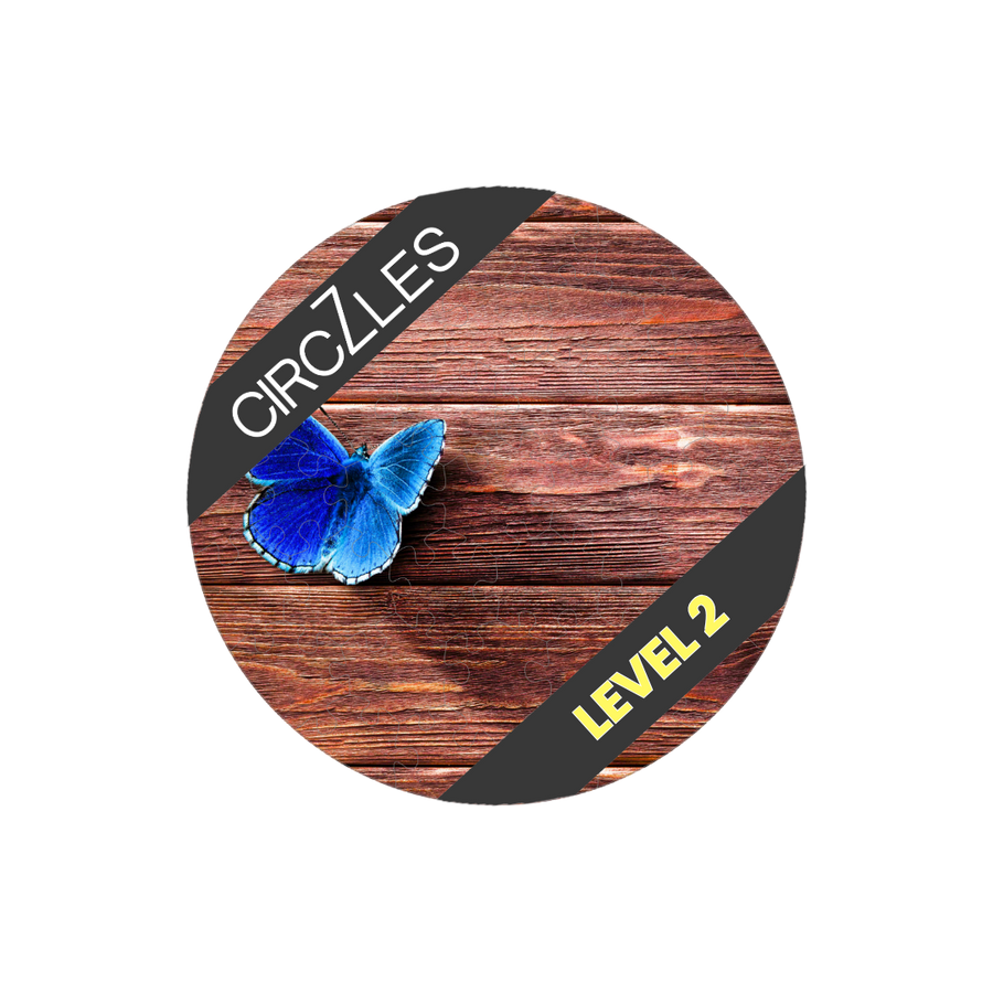 Focus-Boosting Wooden Puzzles | Metamorphosis