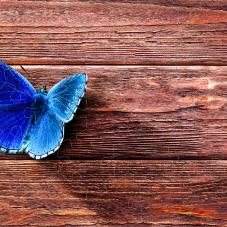 Focus-Boosting Wooden Puzzles | Metamorphosis