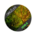 L.S.Tree Level 8 - Advanced Brain Booster Puzzle | CogZart Mind Gym