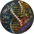 DNA-Coded Carbon Level 25 - Ultimate Circular Wooden Puzzle | CogZart