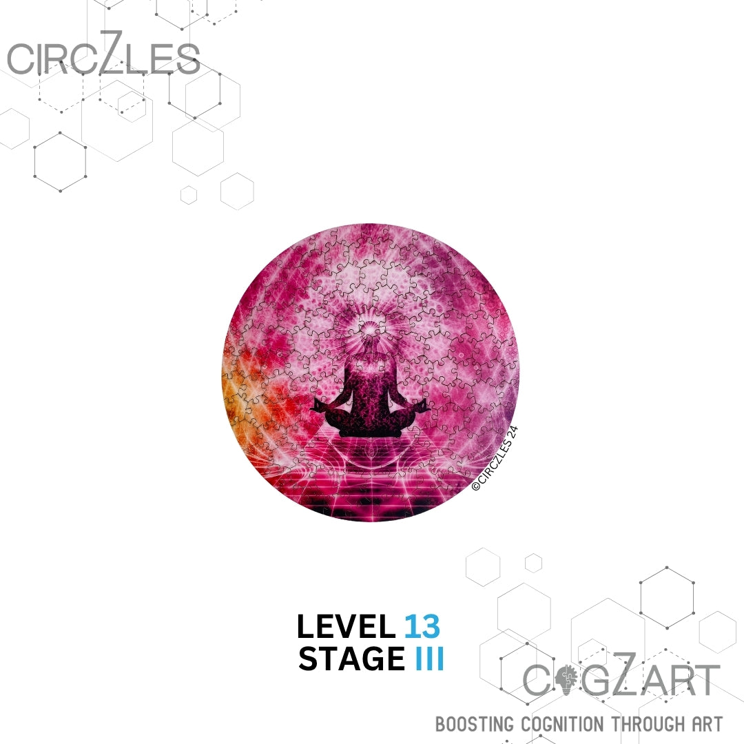 Spiritual Awakening Level 13 - Circular Wooden Puzzle