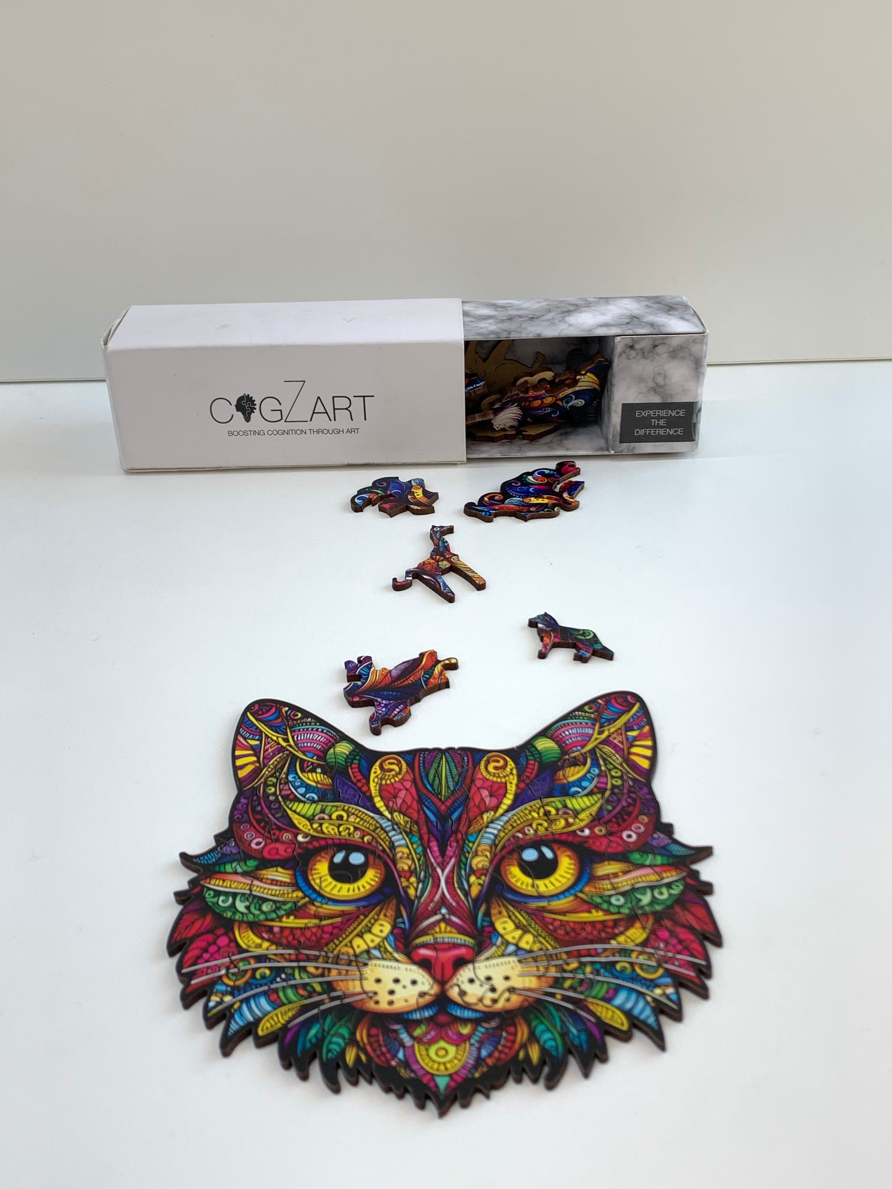 AnimaZeos - Cat