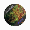 L.S.Tree Level 15 - Advanced Brain Booster Puzzle | CogZart Mind Gym