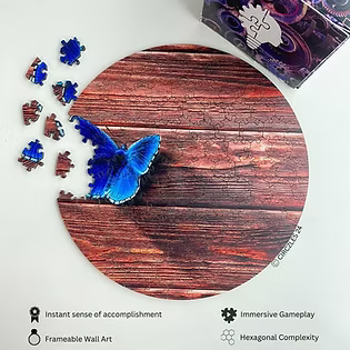 Metamorphosis Level 13 - Mindful Cognitive Challenge | CogZart Mind Gym