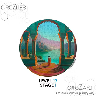 Serenity Level 17 - Round Wooden Puzzle with Hexagonal Grid | CogZart